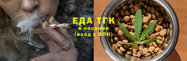 амф Ельня