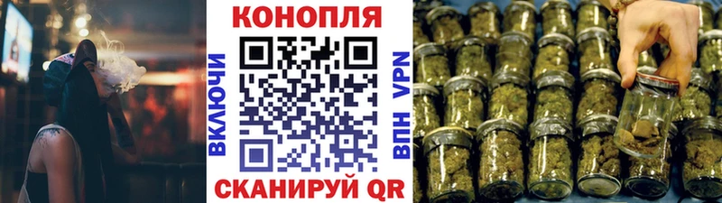 Канабис план  наркошоп  Киселёвск 